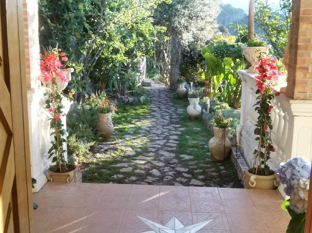 H.H.里帕尔梅酒店