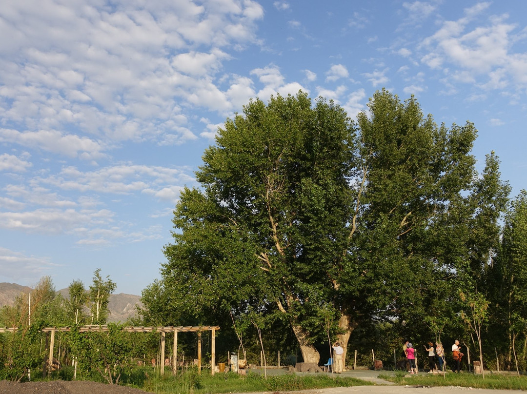 蕴德大酒店主图