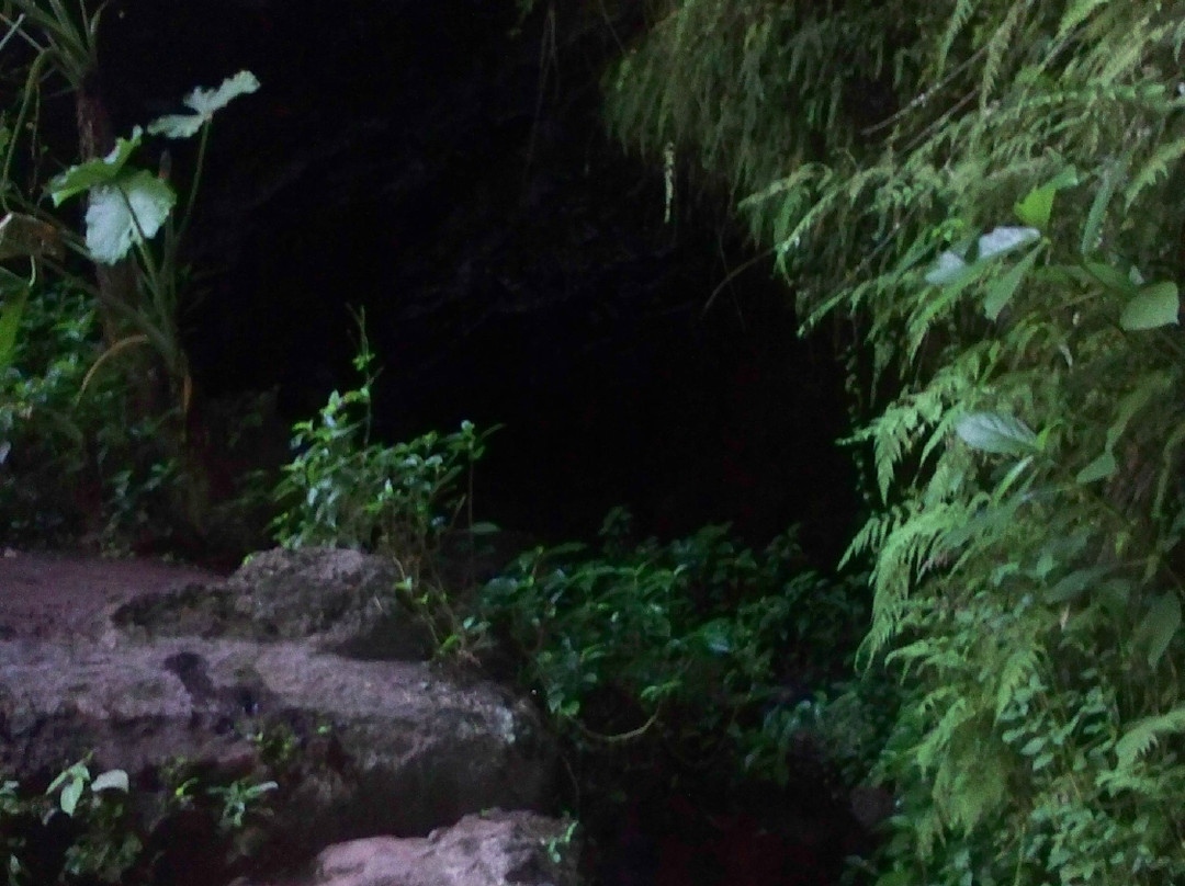 火山口森林公园-琼海市必去景点