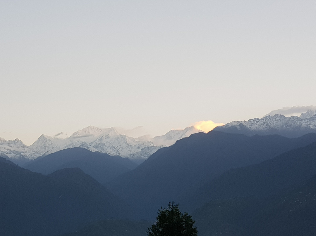 Udaan Olive Hotel & Spa主图