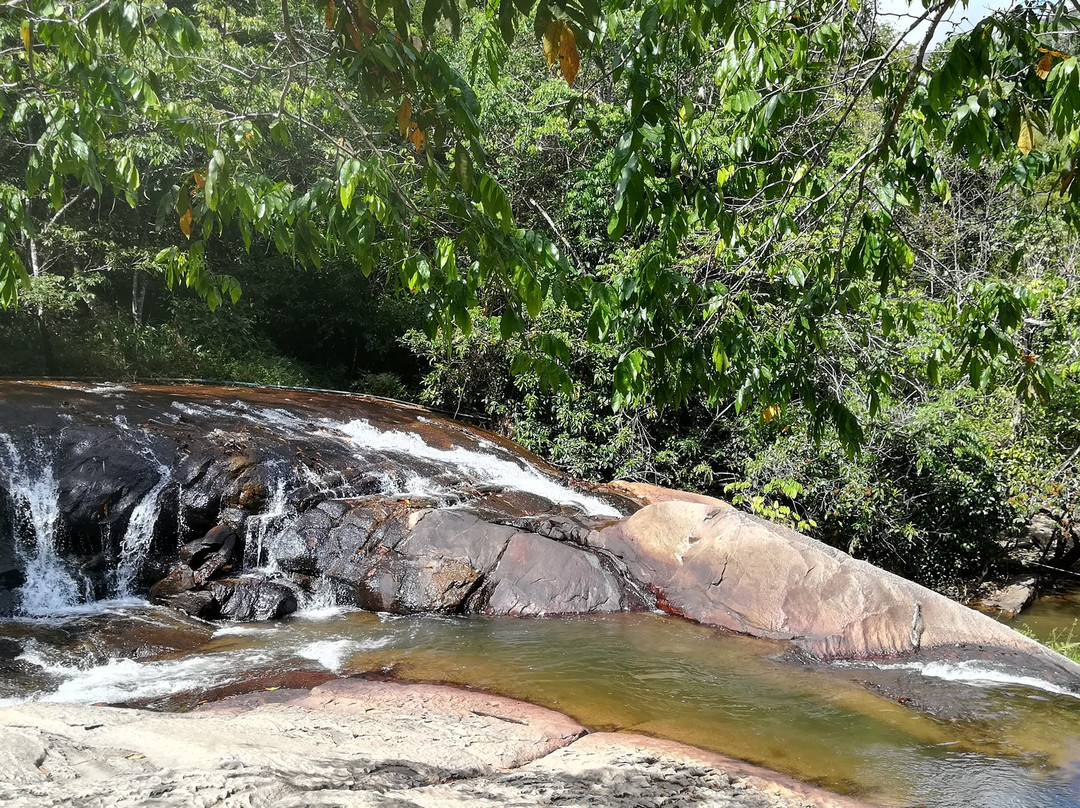 Lagoa dos Gatos旅游攻略图片