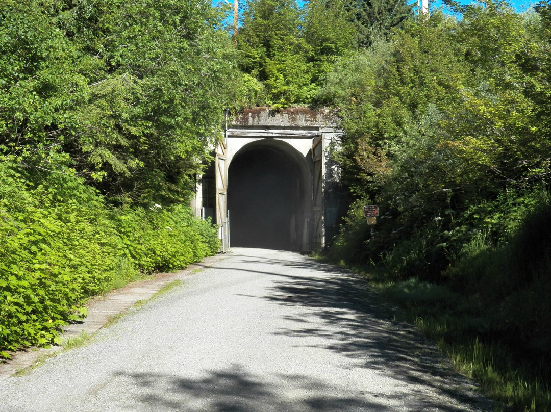 Snoqualmie Pass Train Tunnel景点图片