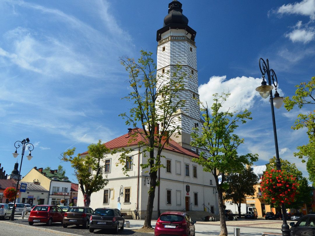 Historic Town Hall - Ratusz景点图片
