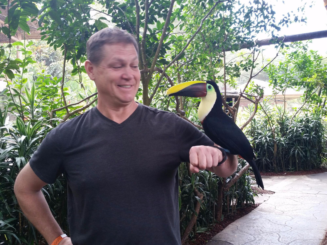 Marbella Tours - Day Tours-圣何塞必去景点