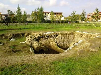 Parco Urbano Camaldoli Sud景点图片