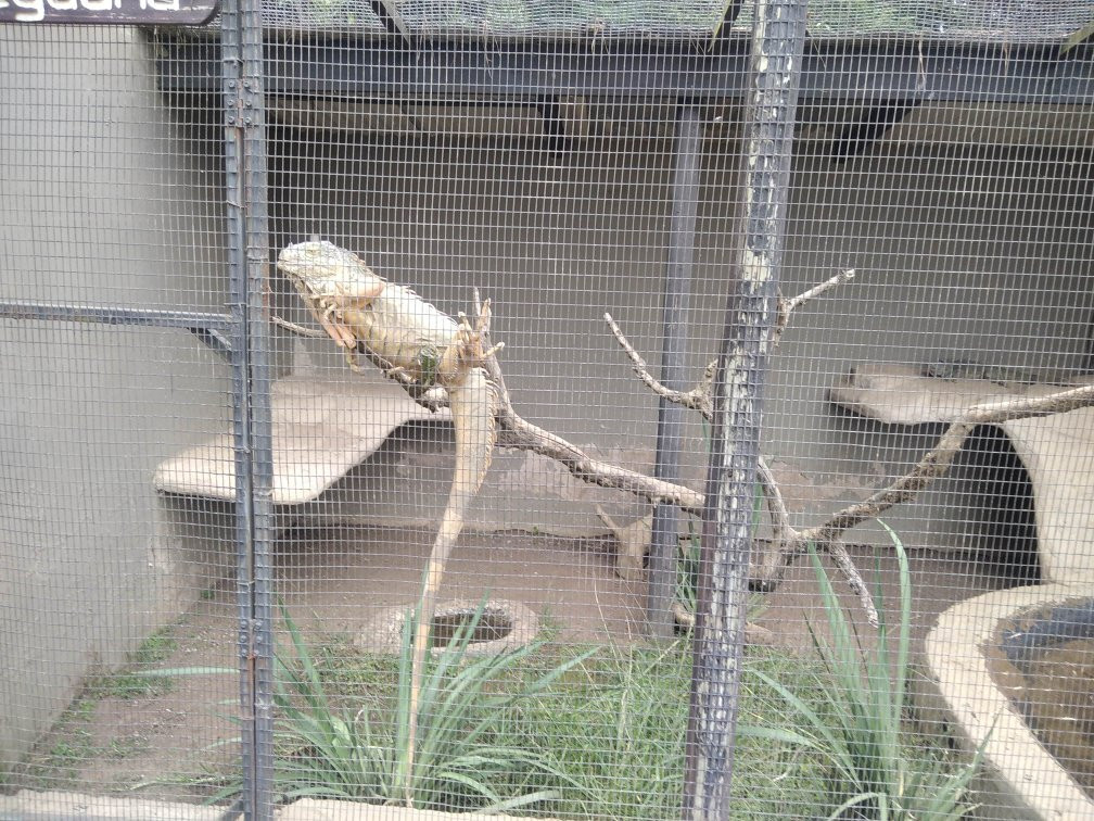 Phezulu Safari Park景点图片