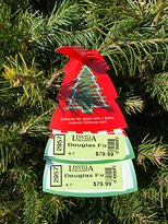 Linvilla Orchards景点图片