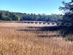 Vereen Memorial Historical Gardens-Little River必去景点