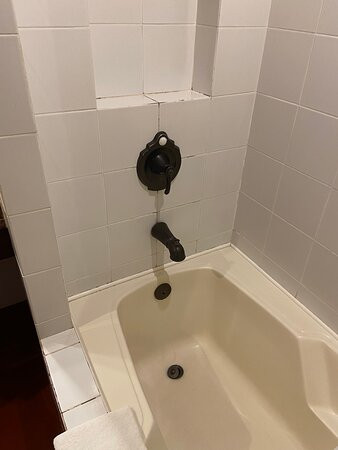 Hotel De Las Flores主图