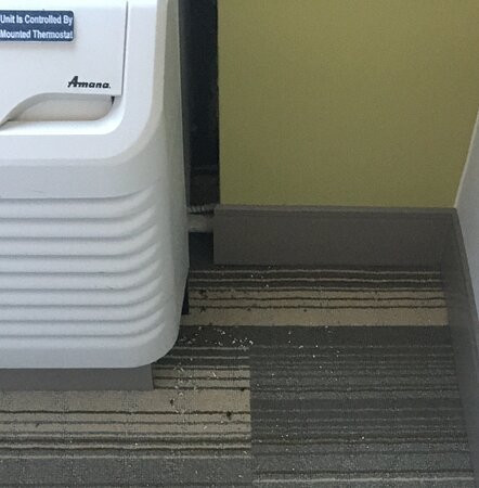 Holiday Inn Express & Suites Blacksburg - University Area By IHG主图