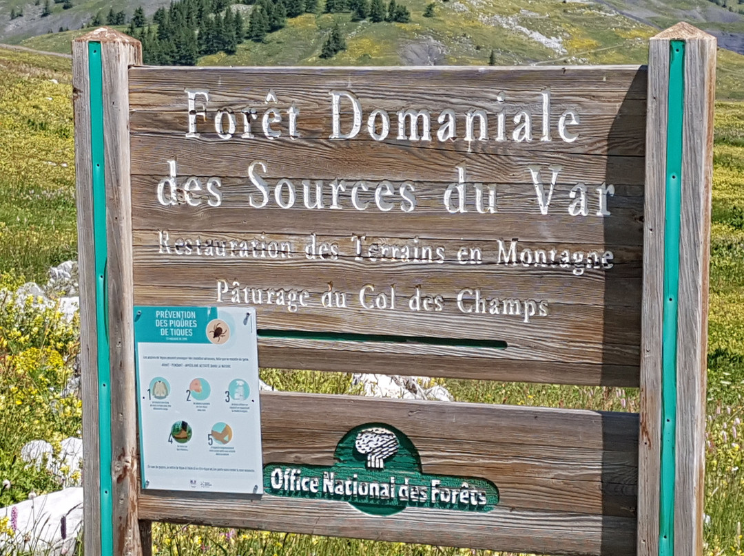 Col des Champs景点图片