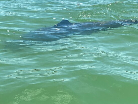 Mid Island Water Sports-迈尔斯堡海滩必去景点