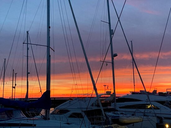 Universal Yachting景点图片