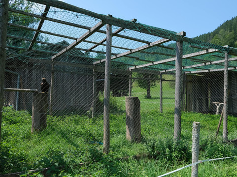 Greifvogel-Erlebnis-Brunnental-Steyrling必去景点
