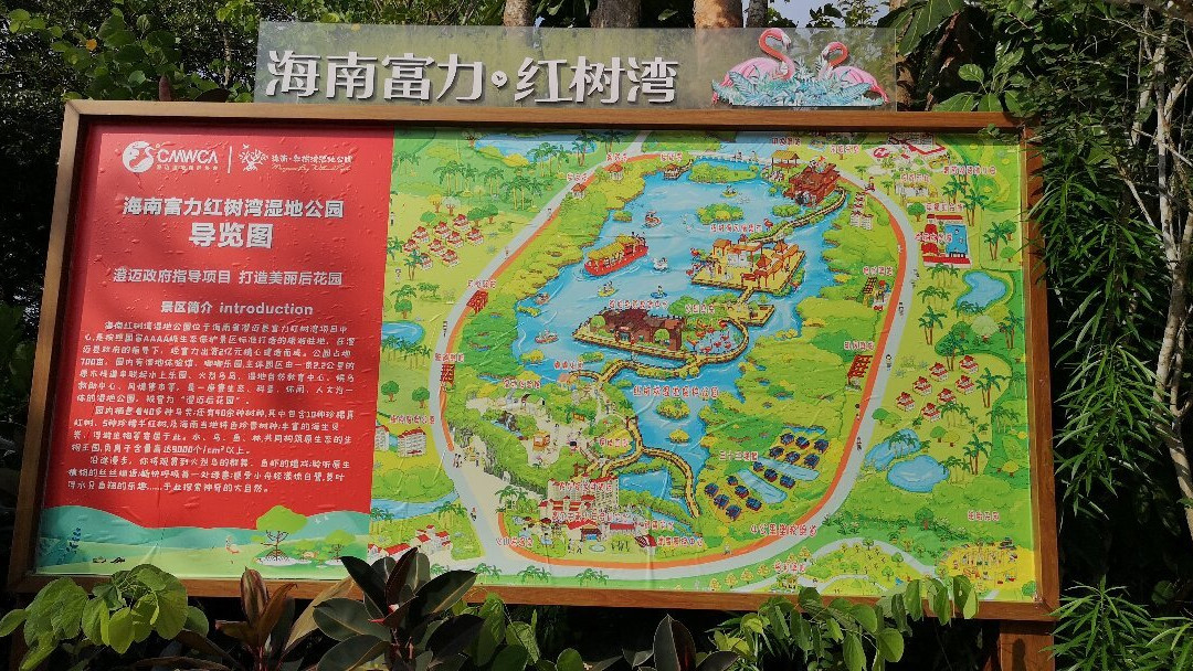 Mangrove Bay Wetland Experience-澄迈县必去景点