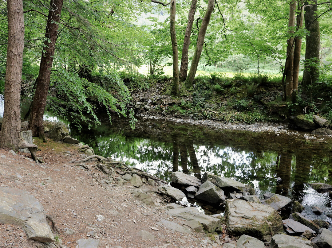 Abergwynant Woods景点图片