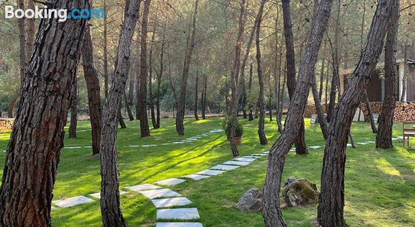 Kayakoy Luxury Tiny Forest