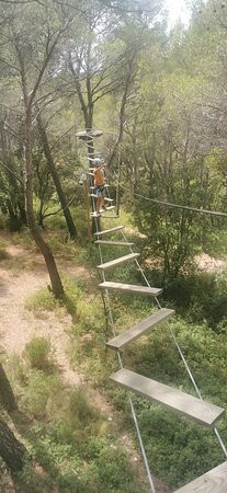 Le Royaume des Arbres-Le Castellet必去景点