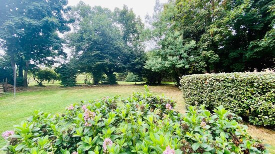 Les Bergeronnettes - Chambre d'hôtes Bergerac主图