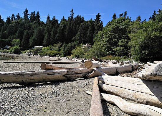 Sargeant Bay Provincial Park-Halfmoon Bay必去景点