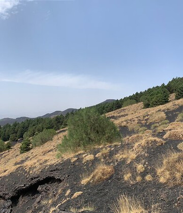 Euthymos Excursions-卡塔尼亚必去景点