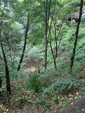 Cedar Sink Trail景点图片