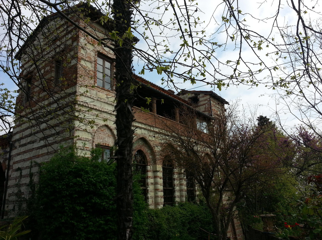 Castello di Frassinello景点图片