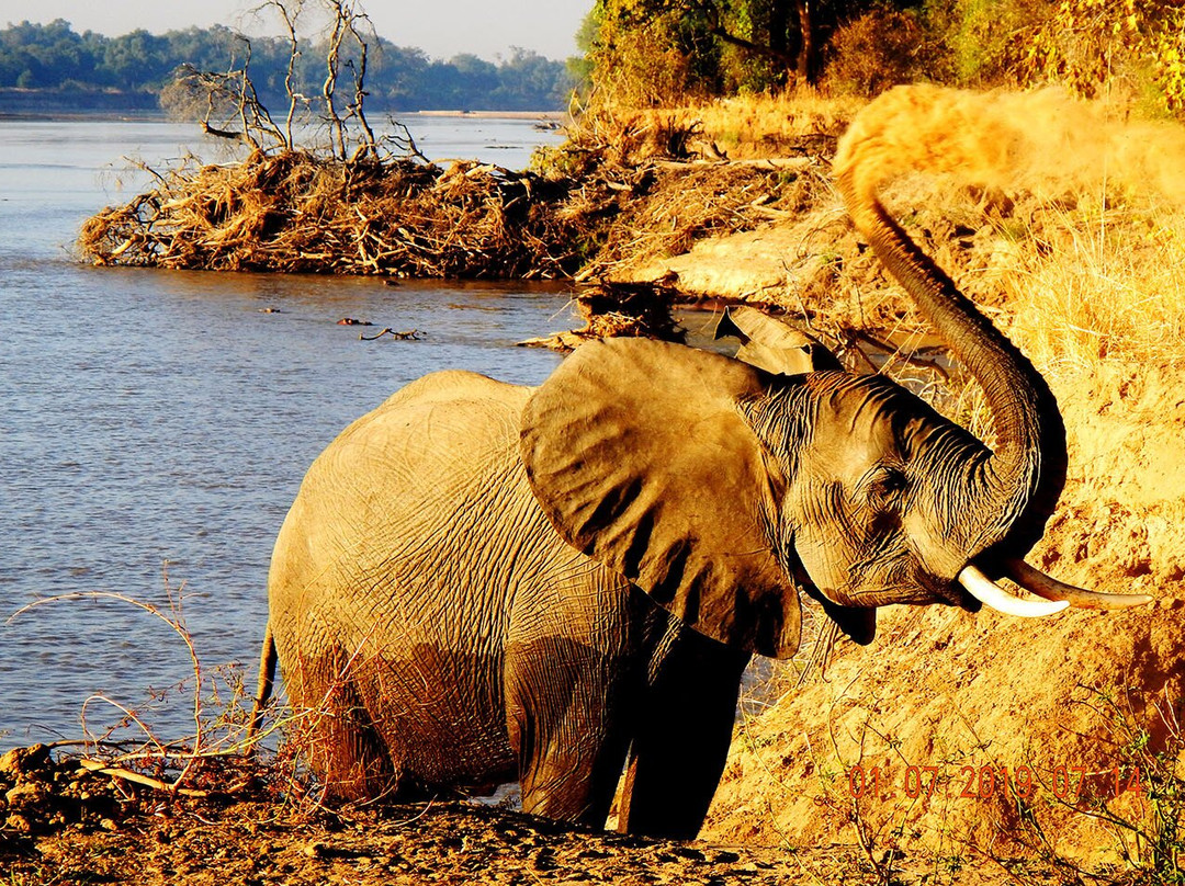 Private Guided Tours Zambia
