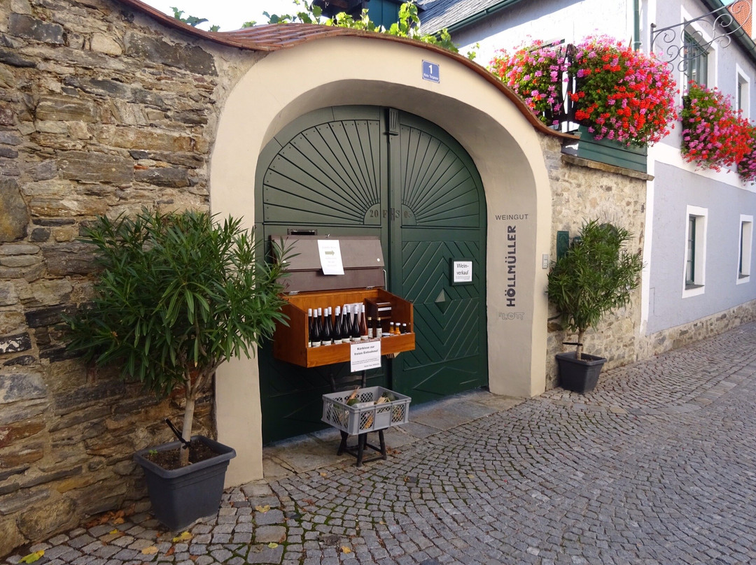 Weingut-buschenschank Florian Höllmüller "flott"