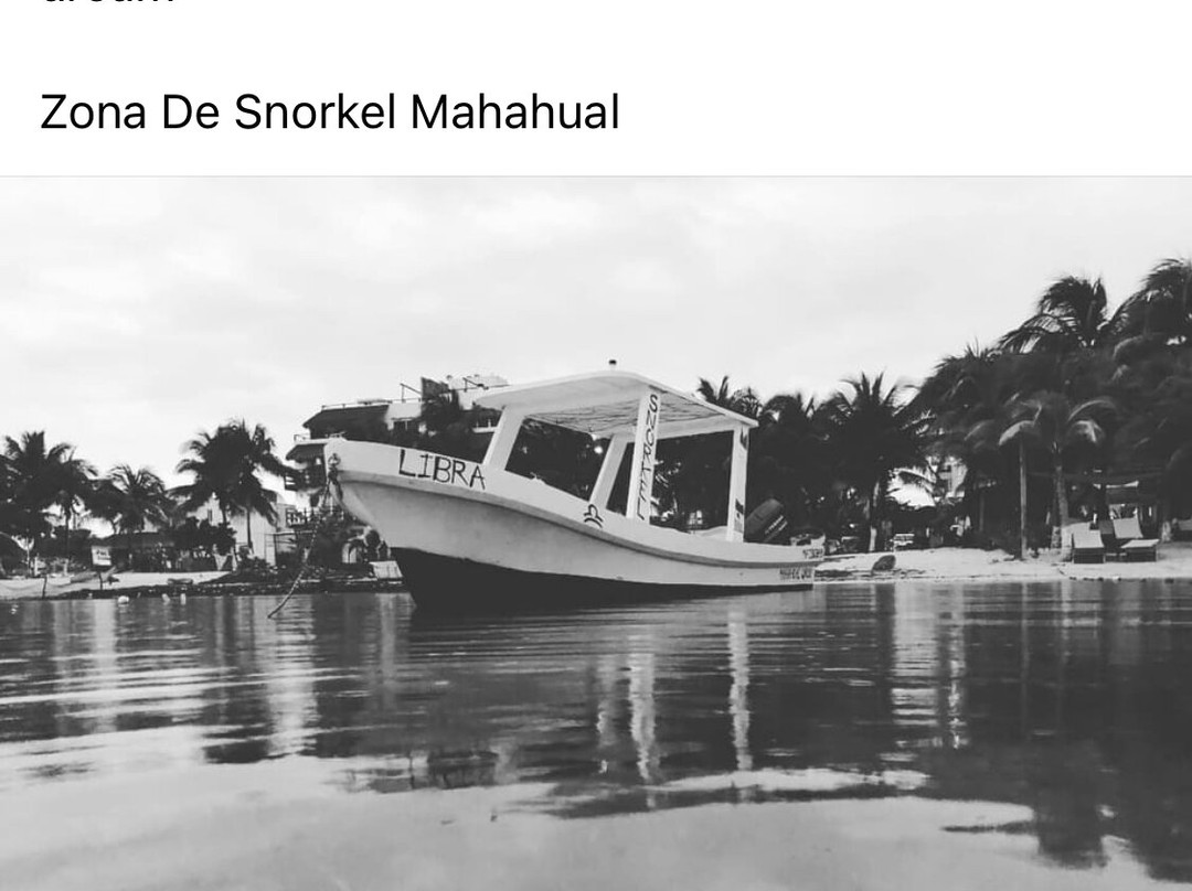 Zona de Snorkel Mahahual景点图片