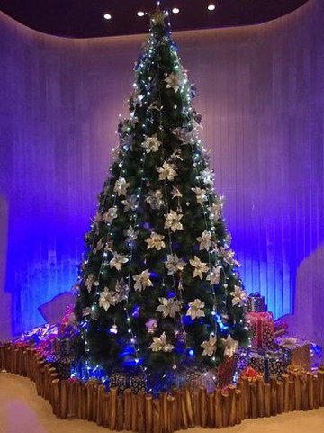 上海客莱福诺富特酒店主图