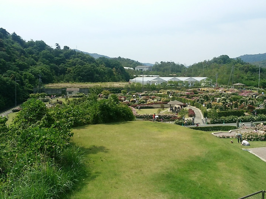 Sennan\ Coty Agricultural Park Hanasaki Farm景点图片