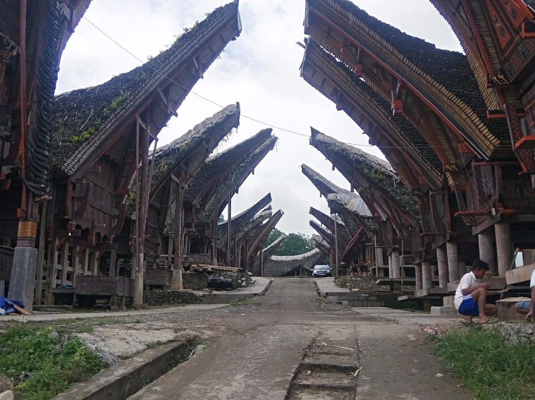 Toraja Tour Guide景点图片