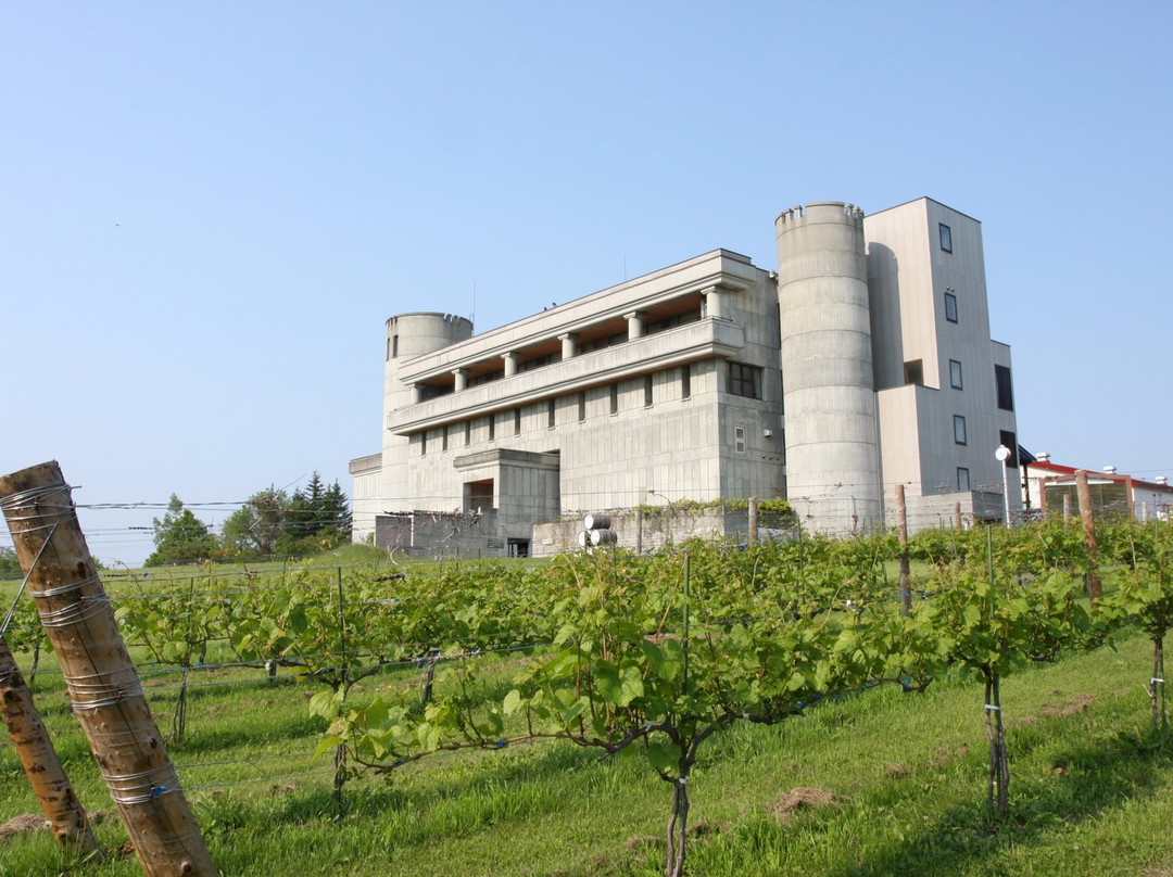 丰顷町旅游景点-Ikeda Wine Castle