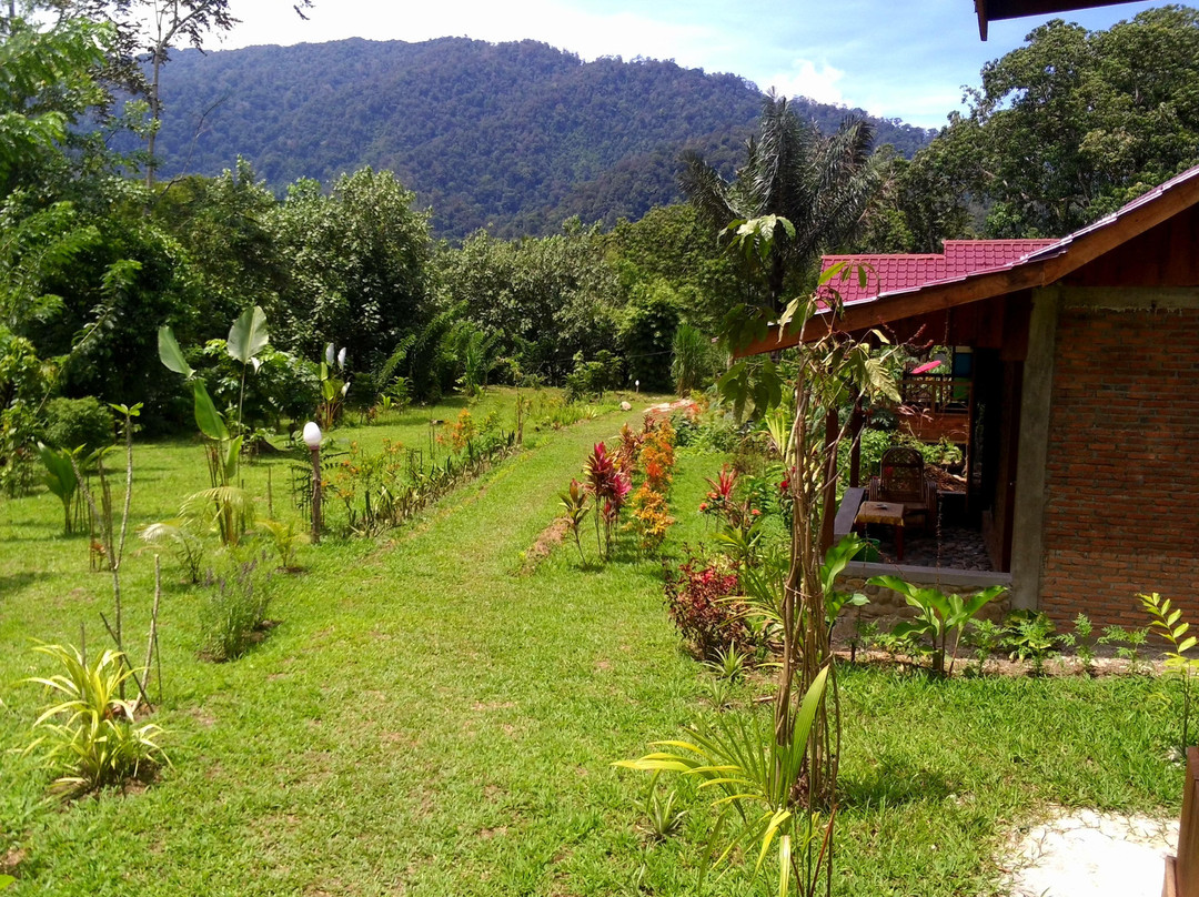 Ketambe旅游攻略图片