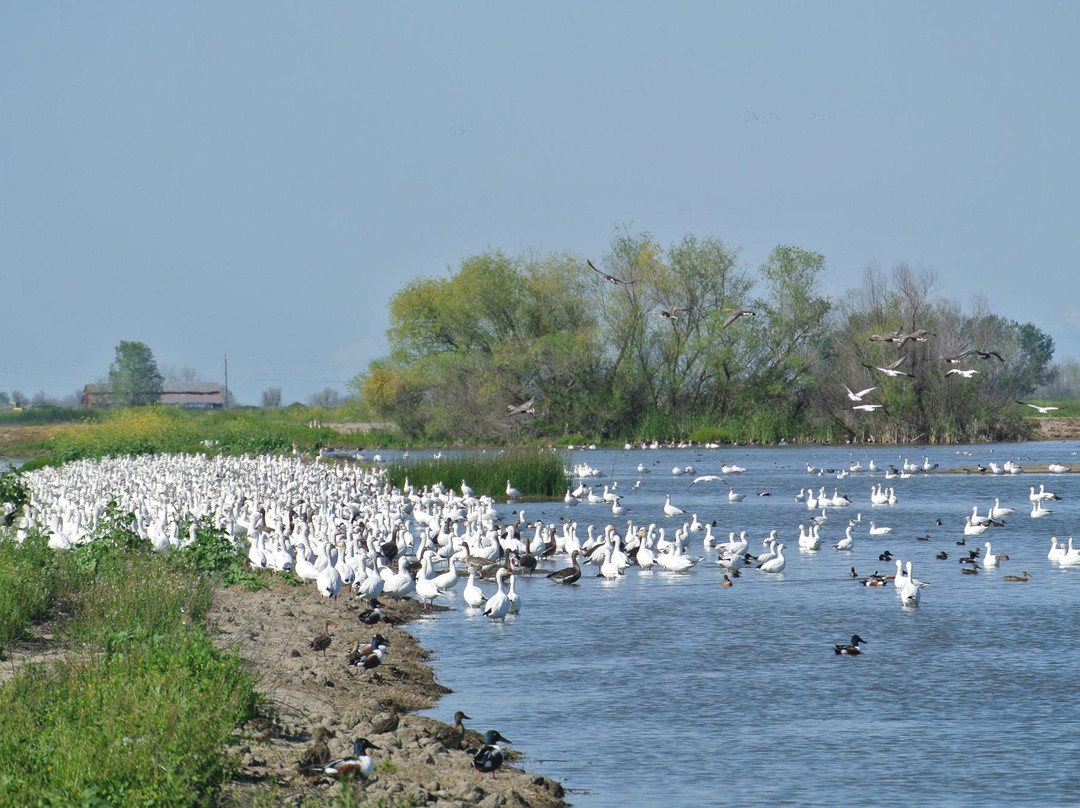 默塞德旅游攻略图片