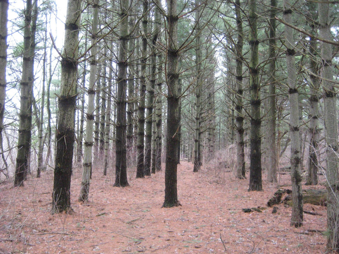 Eldridge旅游攻略图片