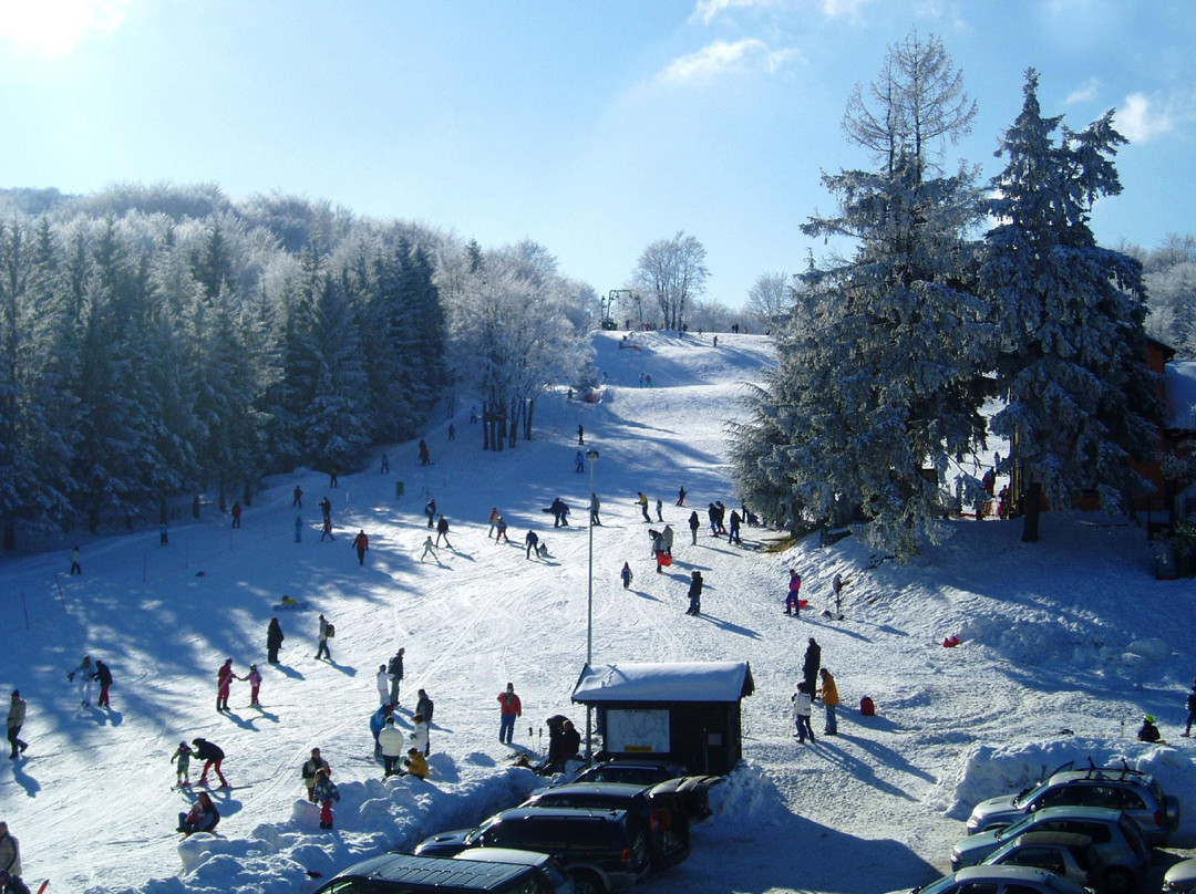 Schia旅游攻略图片