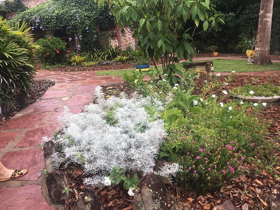 Castelar da Alvorada主图