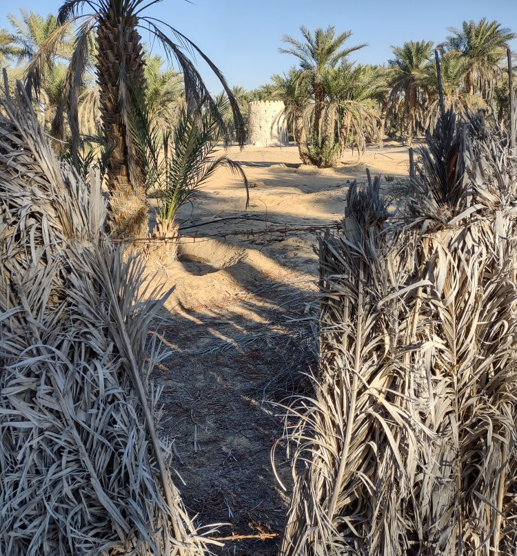 Al Hayla Tower-Taraq必去景点