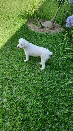 Complejo Don Juan主图