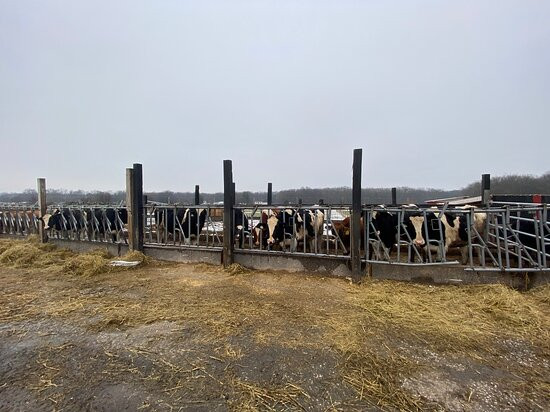 Cook Family Farm-纽瓦克必去景点