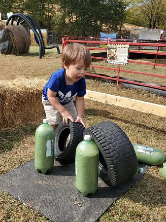 Lazy L Safari Park-开普吉拉多必去景点
