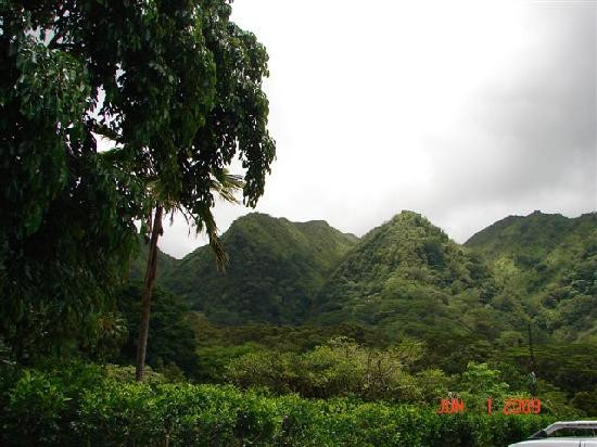 玛诺亚瀑布-火奴鲁鲁必去景点