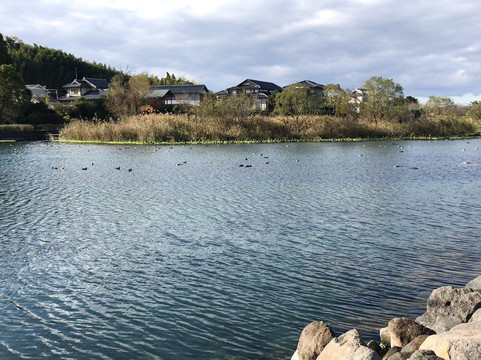 嘉岛町旅游攻略图片