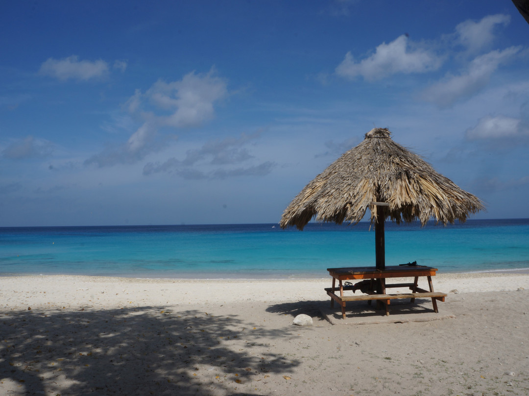 Grote Knip-Sabana Westpunt必去景点