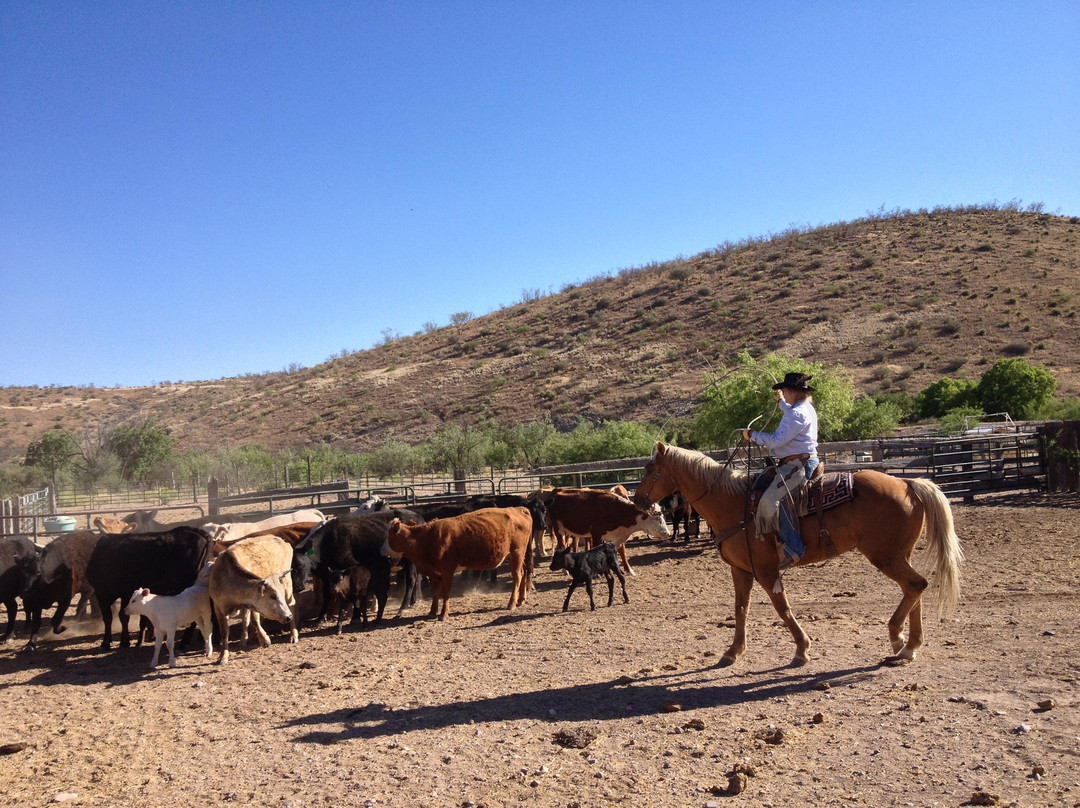 The Dancing Y Ranch-墓碑镇必去景点