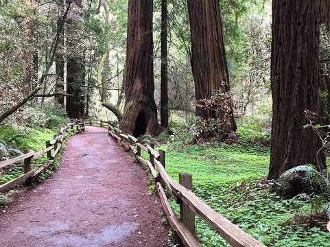 SF Excursions-旧金山必去景点