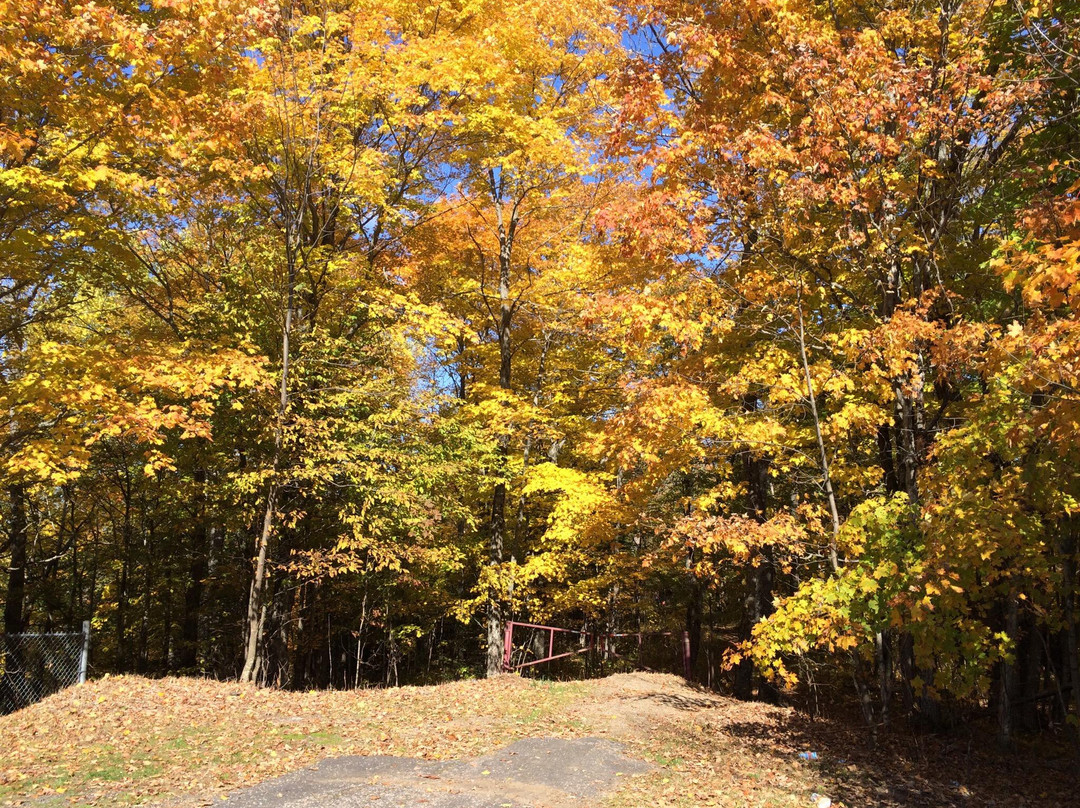 Panorama Park Lookout景点图片