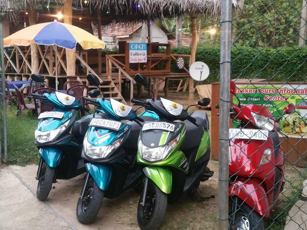 Tango scooter & tuk tuk rental-唐卡拉必去景点